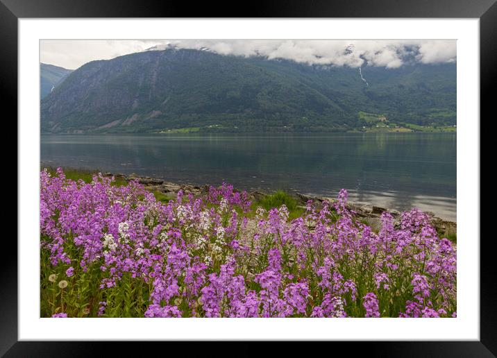 Sognefjord Framed Mounted Print by Thomas Schaeffer