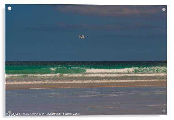 Seagull Soaring above the Atlantic Acrylic by Kasia Design