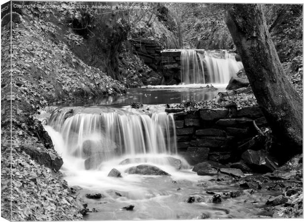 Winter scene of waterfall stream slow shutter blac Canvas Print by Andrew Heaps