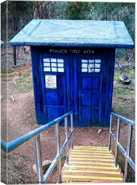Stairs to the Tardis Canvas Print by Steven Ralser
