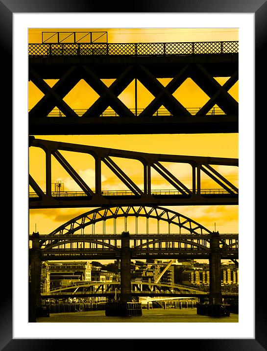 Newcastle bridges Framed Mounted Print by Will Black