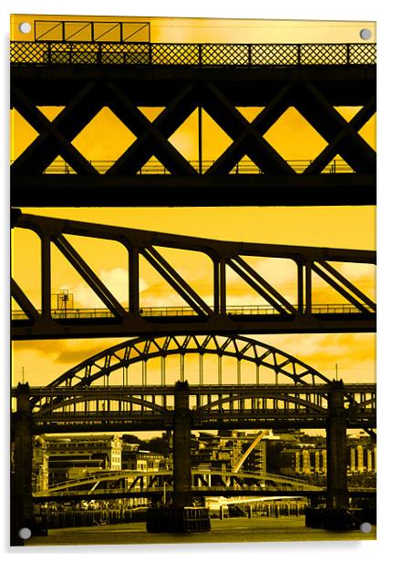 Newcastle bridges Acrylic by Will Black