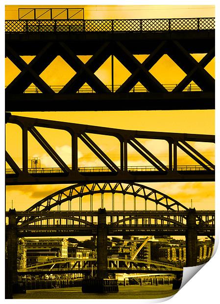 Newcastle bridges Print by Will Black