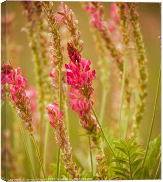 Meadow grass  Canvas Print by Simon Johnson