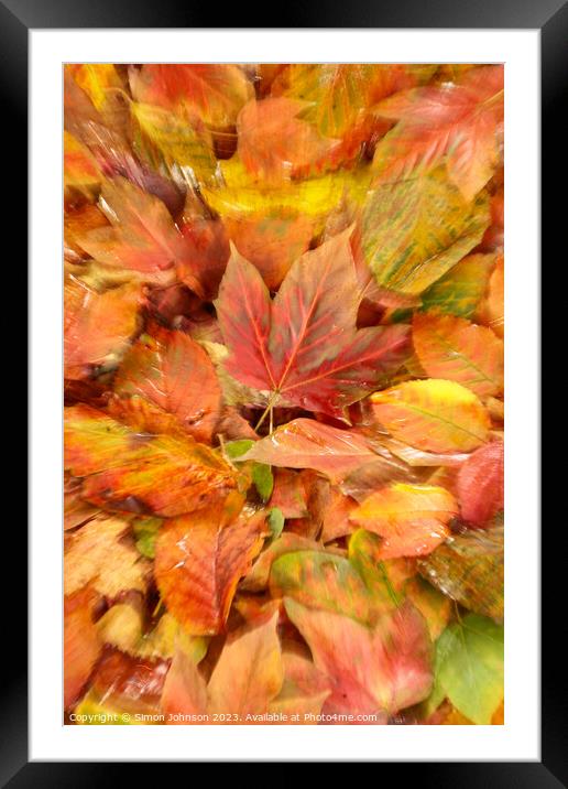 Autumn leaves Framed Mounted Print by Simon Johnson