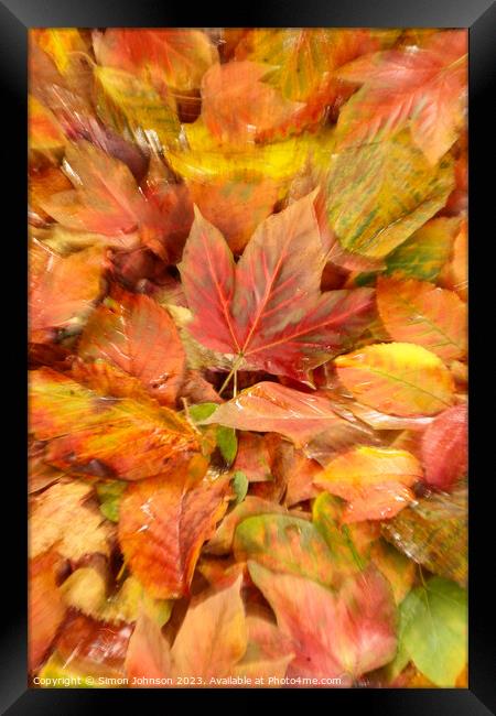 Autumn leaves Framed Print by Simon Johnson