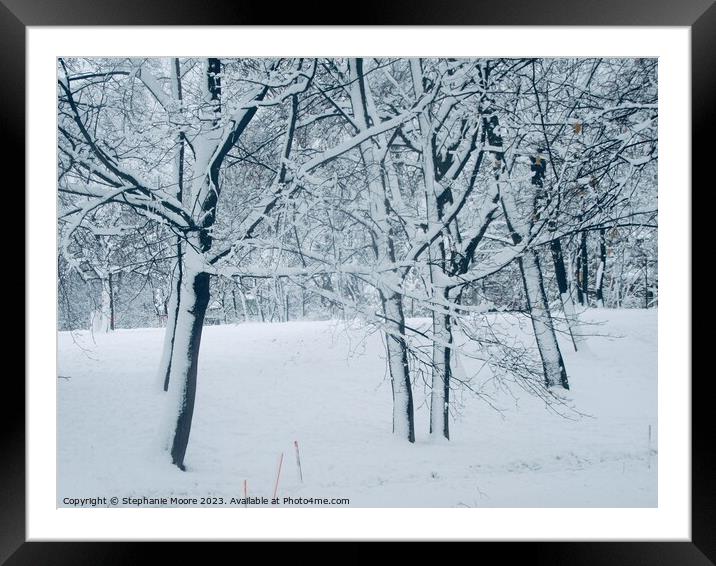 Snow covered trees Framed Mounted Print by Stephanie Moore