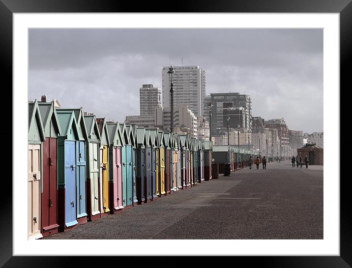 Beach huts. Brighton Framed Mounted Print by Will Black