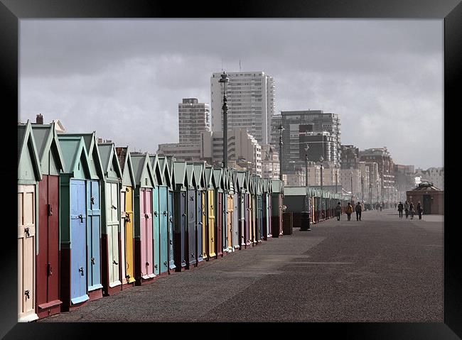 Beach huts. Brighton Framed Print by Will Black