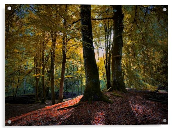 Autumn glow Acrylic by Clive Ashton
