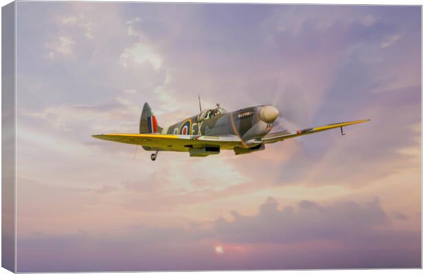 Spitfire MK IX TD314 Canvas Print by J Biggadike