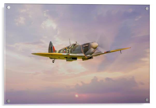 Spitfire MK IX TD314 Acrylic by J Biggadike