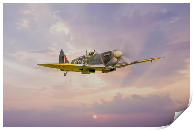 Spitfire MK IX TD314 Print by J Biggadike