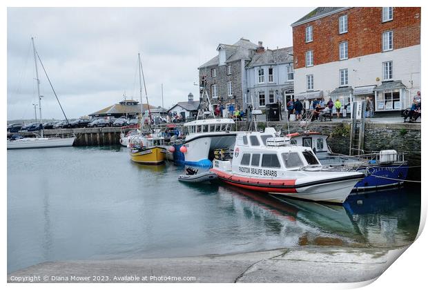 Padstow Harbour Cornwall Print by Diana Mower