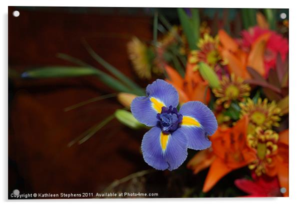 Blue Iris Acrylic by Kathleen Stephens