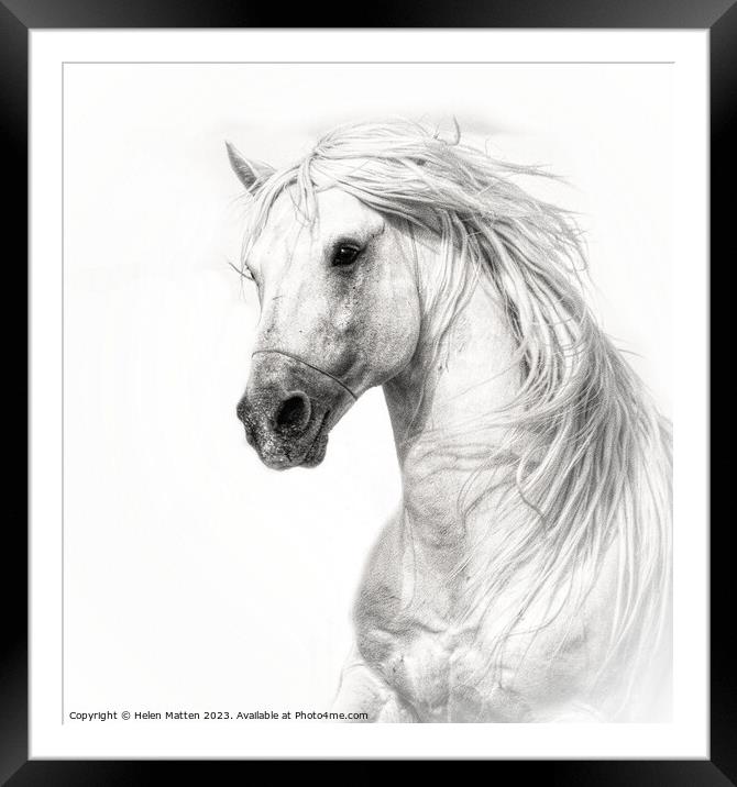 Majestic Camargue Stallion Framed Mounted Print by Helkoryo Photography