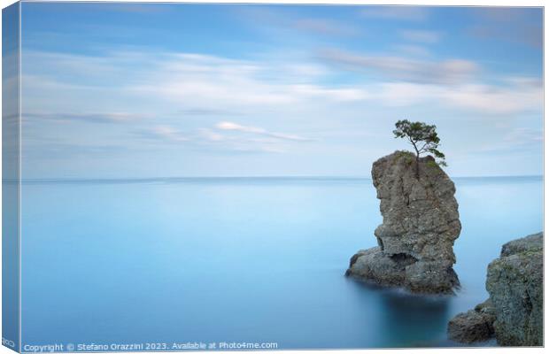 Stone pine on the rock. Long exposure. Italy Canvas Print by Stefano Orazzini
