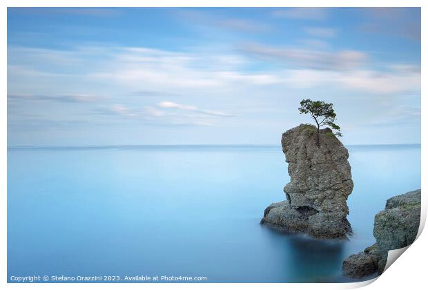 Stone pine on the rock. Long exposure. Italy Print by Stefano Orazzini