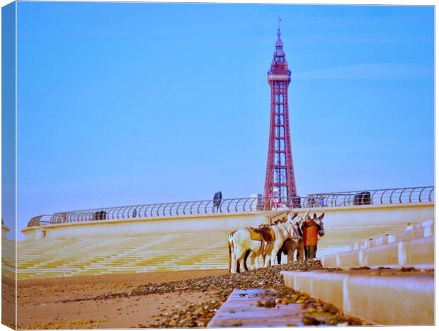 Blackpool Donkeys  Canvas Print by Victor Burnside