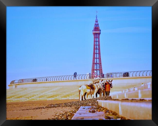 Blackpool Donkeys  Framed Print by Victor Burnside