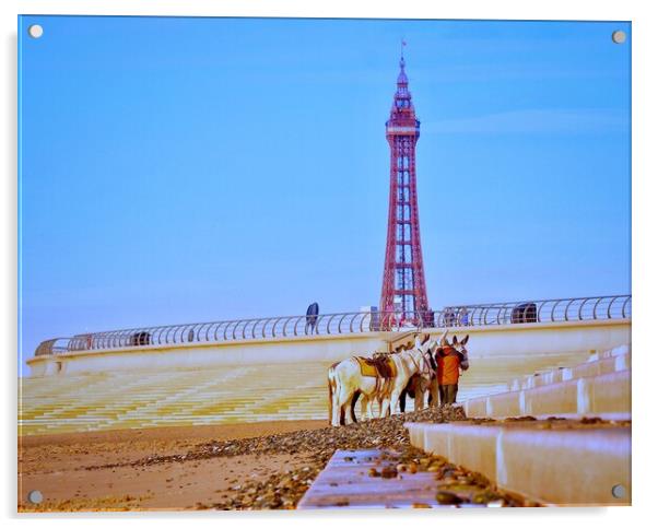 Blackpool Donkeys  Acrylic by Victor Burnside