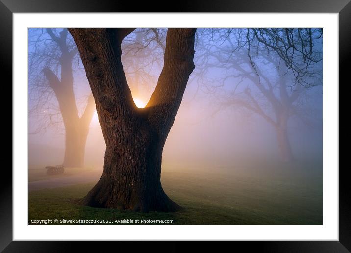 Queen's Park Framed Mounted Print by Slawek Staszczuk