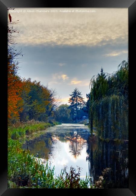 Elsecar Canal Barnsley  Framed Print by Alison Chambers