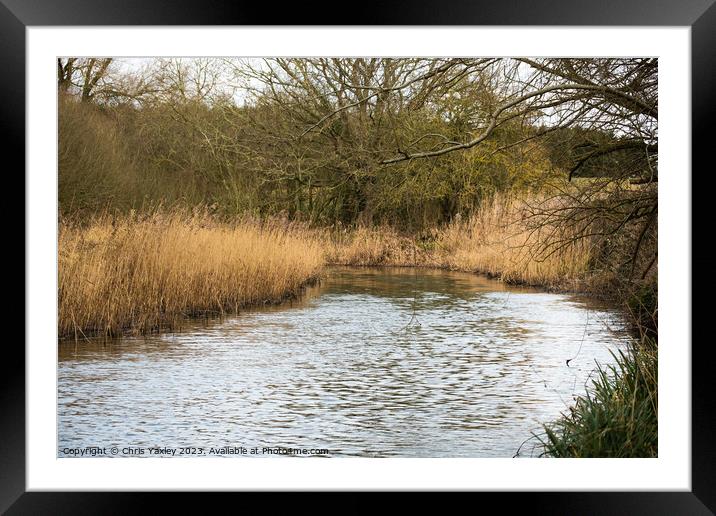 Rural river, Norfolk Broads Framed Mounted Print by Chris Yaxley