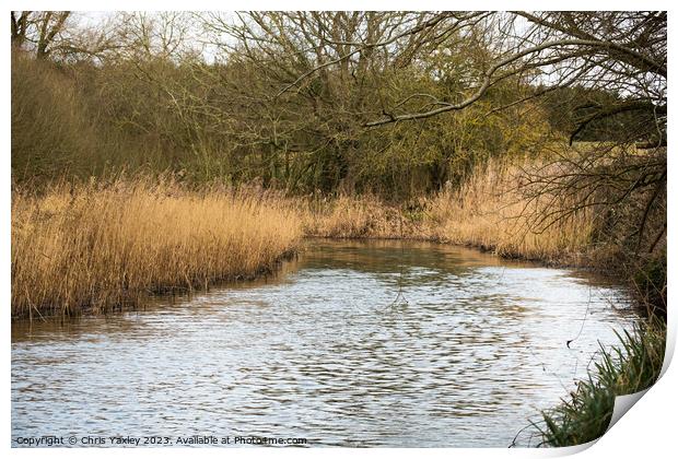 Rural river, Norfolk Broads Print by Chris Yaxley