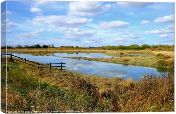 Blackwater Estuary Marshes Essex Canvas Print by Diana Mower