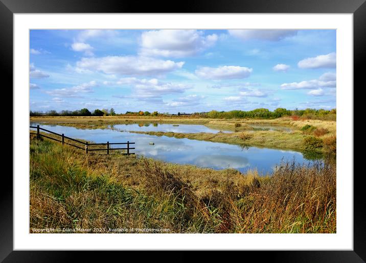 Blackwater Estuary Marshes Essex Framed Mounted Print by Diana Mower