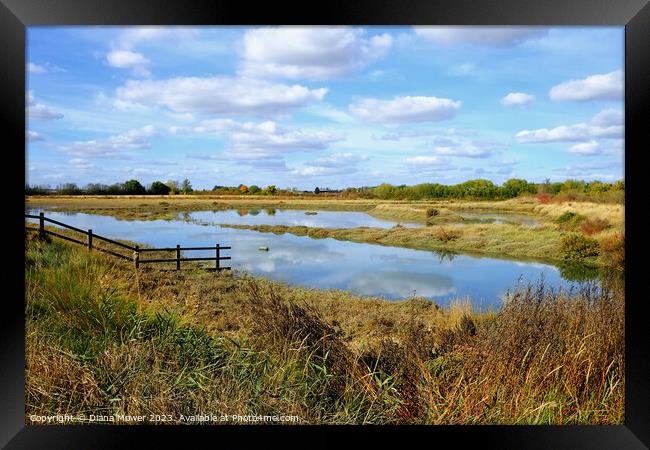 Blackwater Estuary Marshes Essex Framed Print by Diana Mower