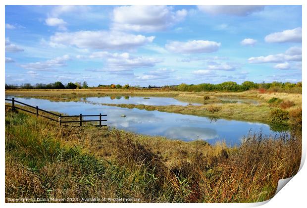 Blackwater Estuary Marshes Essex Print by Diana Mower