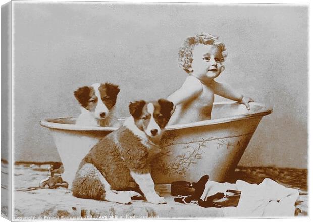 Two Dogs With Young Child In Bathtub . Canvas Print by Ernest Sampson