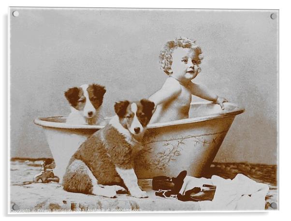 Two Dogs With Young Child In Bathtub . Acrylic by Ernest Sampson
