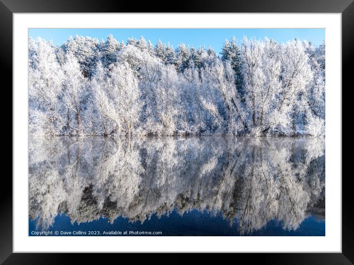 Reflections of snow covered trees in the River Teviot, Scottish Borders, United Kingdom Framed Mounted Print by Dave Collins