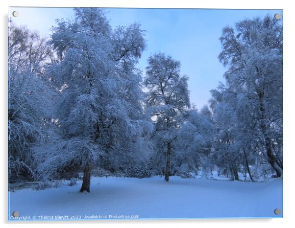 Narnia Winter Garden Acrylic by Thelma Blewitt
