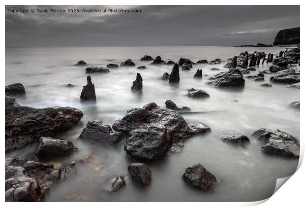 Weather Worn Groynes on the Durham Heritage Coast, Seaham, UK Print by David Forster