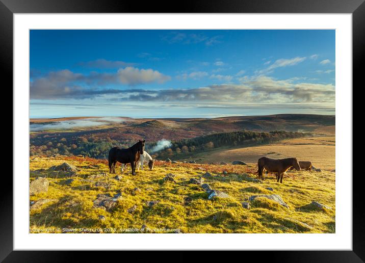 Dartmoor Ponies Framed Mounted Print by Slawek Staszczuk
