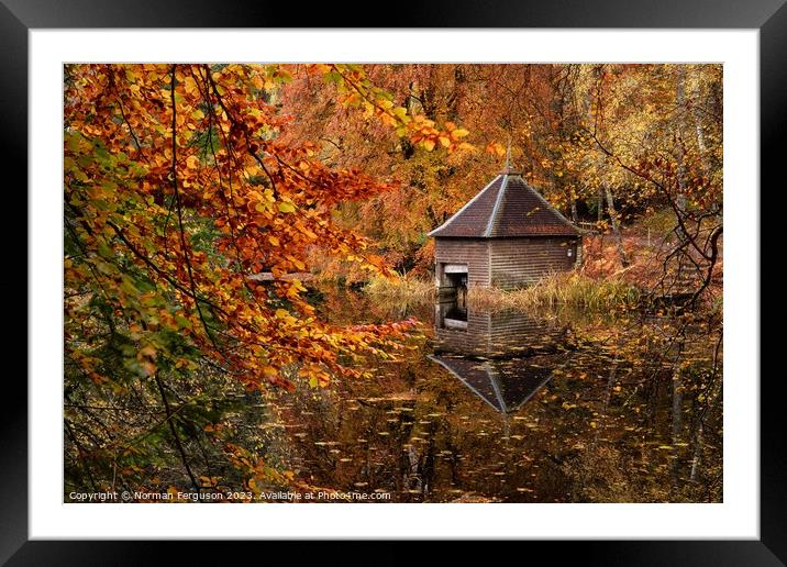Autumn reflections Framed Mounted Print by Norman Ferguson