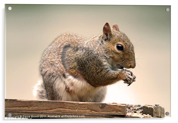 Change from Nuts! Acrylic by David Borrill