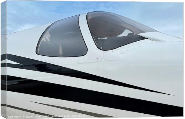 Executive Jet Canopy Detail Canvas Print by David Pyatt