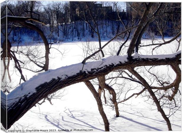 Tree branches frozen in the river Canvas Print by Stephanie Moore