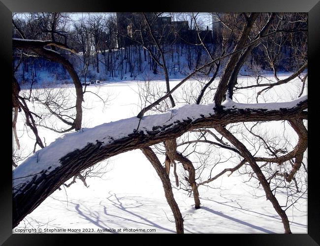 Tree branches frozen in the river Framed Print by Stephanie Moore