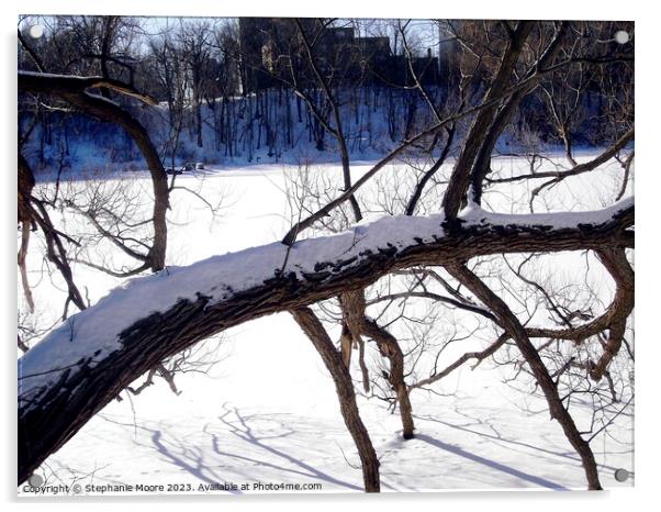 Tree branches frozen in the river Acrylic by Stephanie Moore