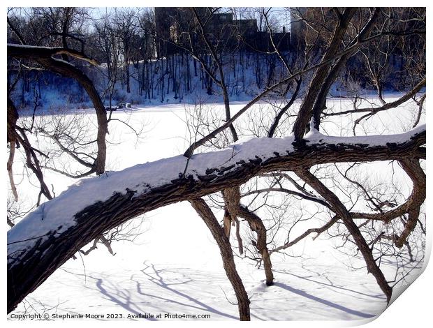 Tree branches frozen in the river Print by Stephanie Moore