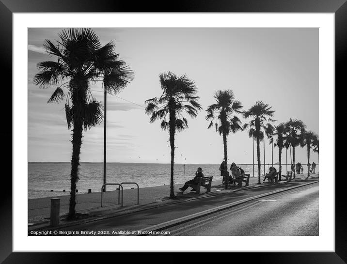 Southend-On-Sea Palm Tree's Framed Mounted Print by Benjamin Brewty