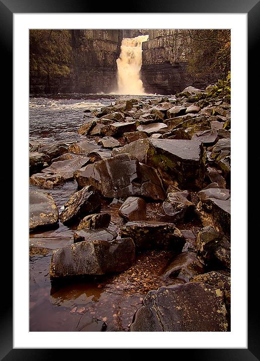 may the force be with you Framed Mounted Print by Northeast Images