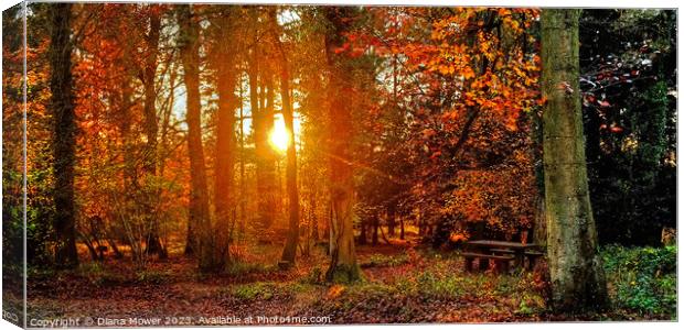 Forest of Dean Sunset Through the Trees Panoramic Canvas Print by Diana Mower