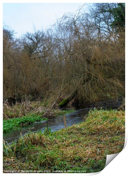 Cassiobury Park Watford Print by Benjamin Brewty